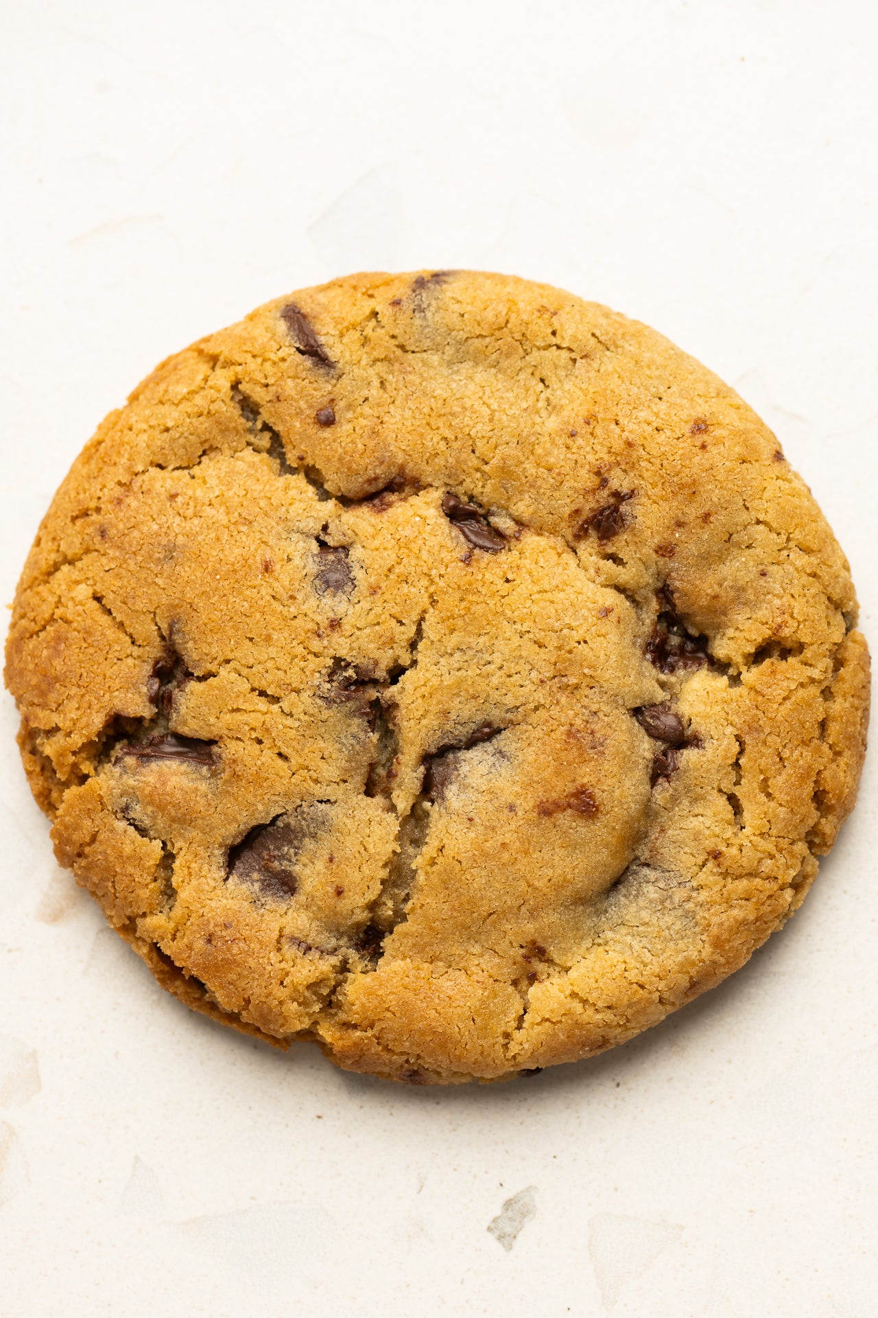 Chocolate Chip Cookie